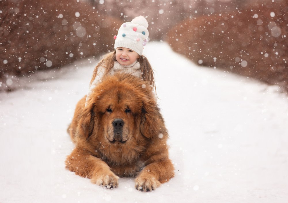 Photograph by Алена Федосова