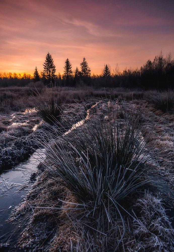 Photograph by Смоляк Максим Дмитриевич