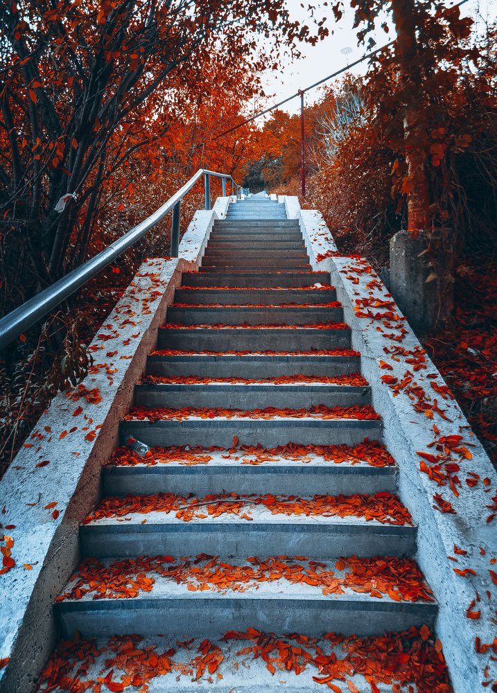 Stairway to Autumn