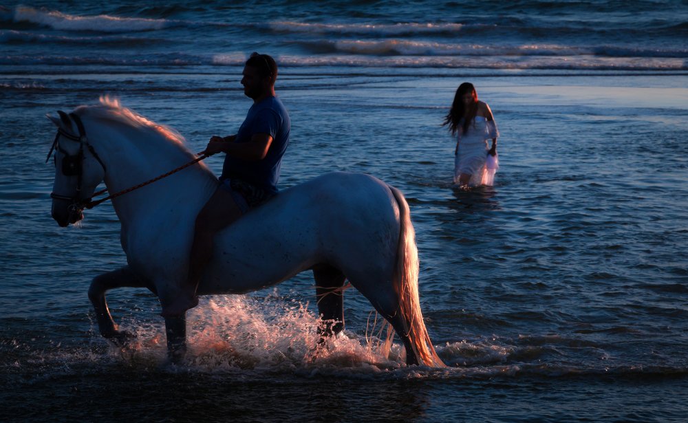 Photograph by Sax Palumbo