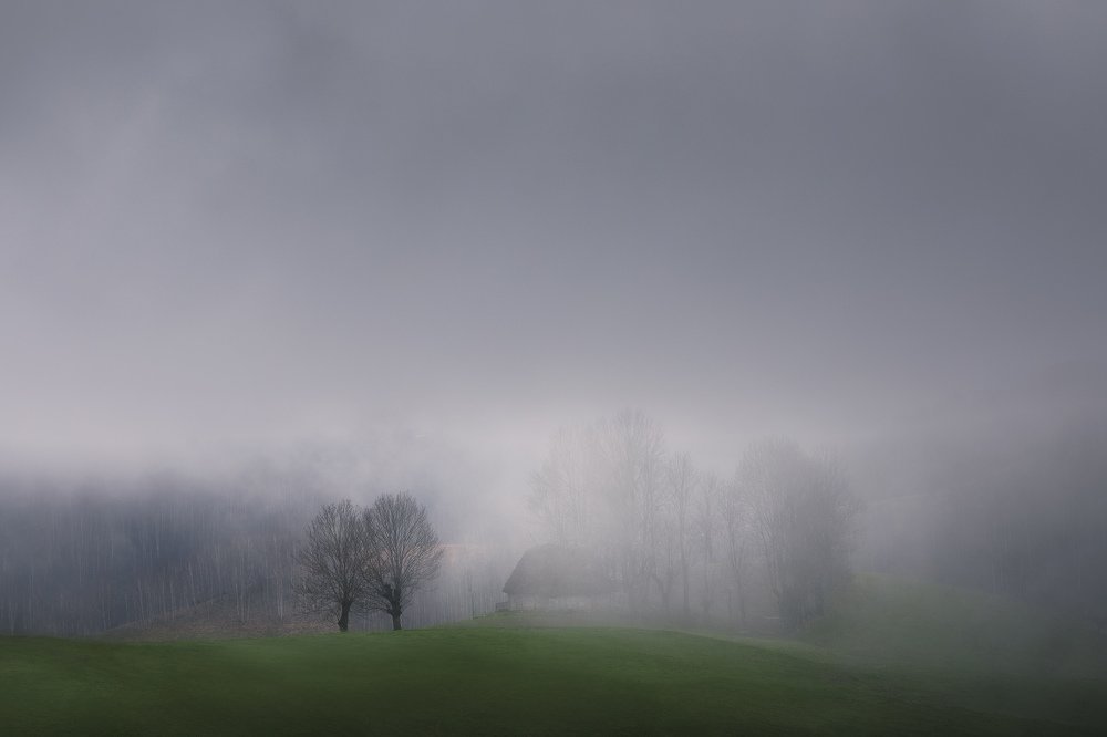 Photograph by Дмитрий Купрацевич