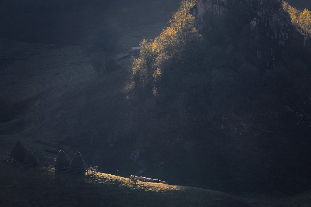 Photograph by Дмитрий Купрацевич