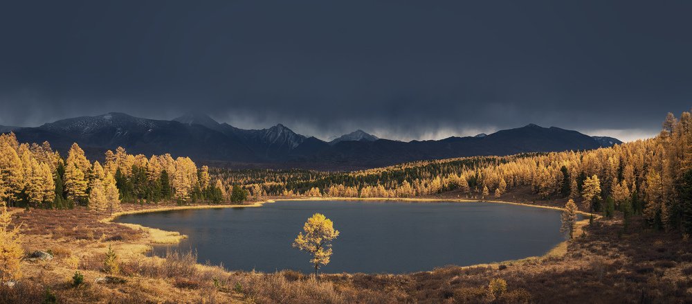 Photograph by Дмитрий Купрацевич