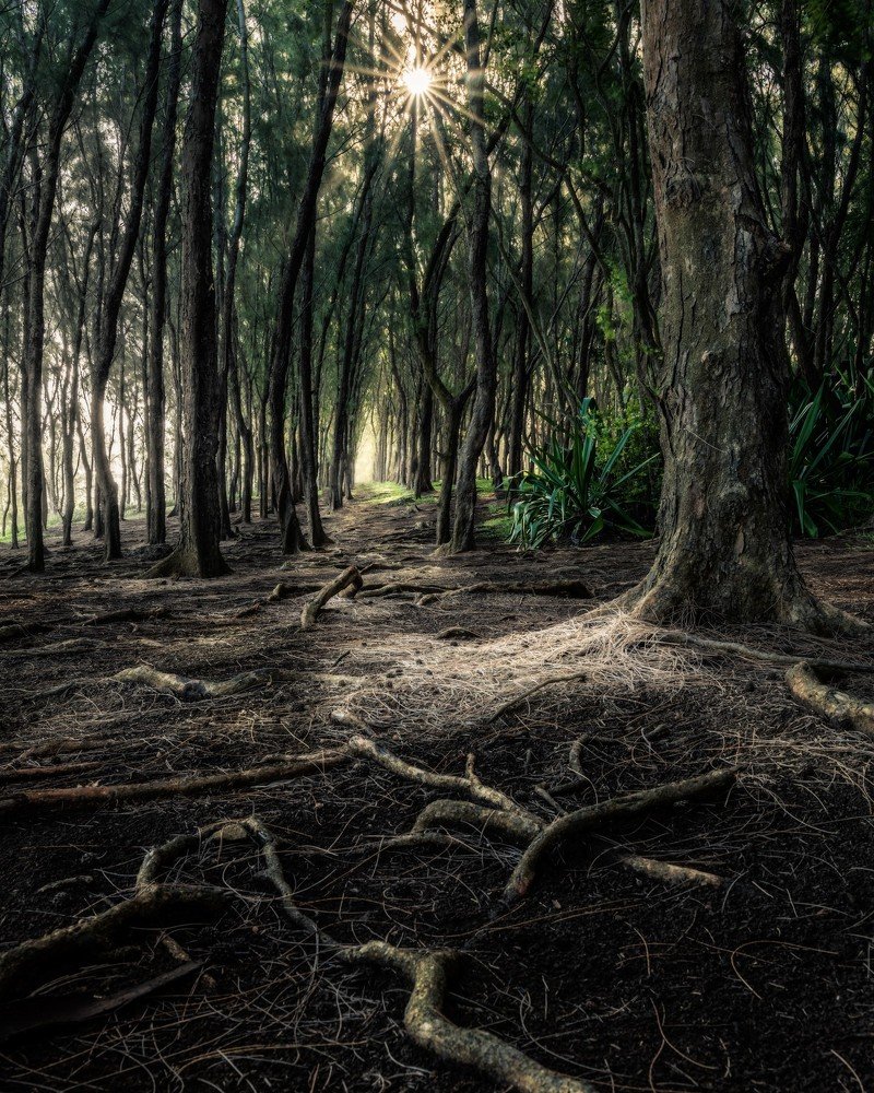 Photograph by fadil tally