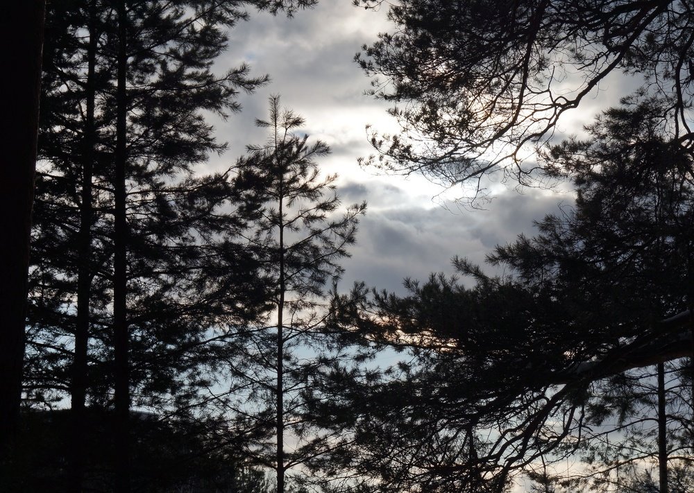 Небесное искусство перемен.