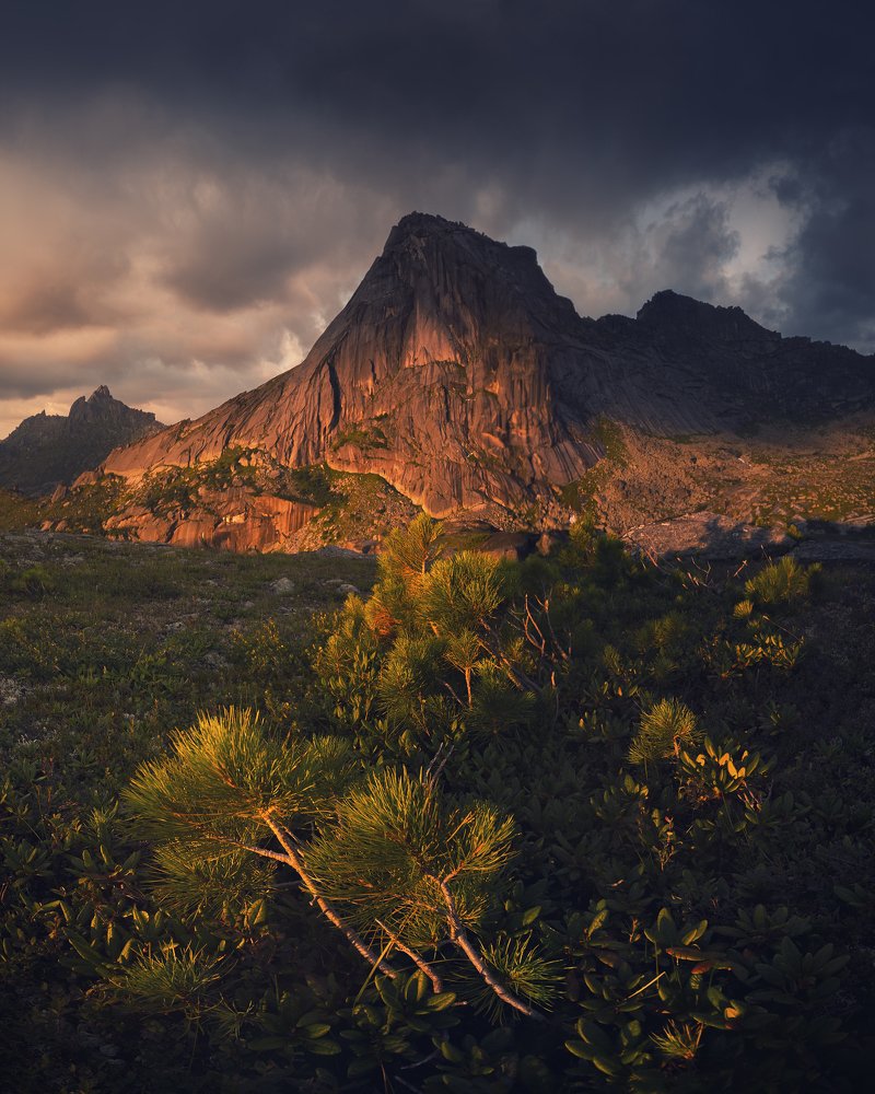 Photograph by Дмитрий Купрацевич