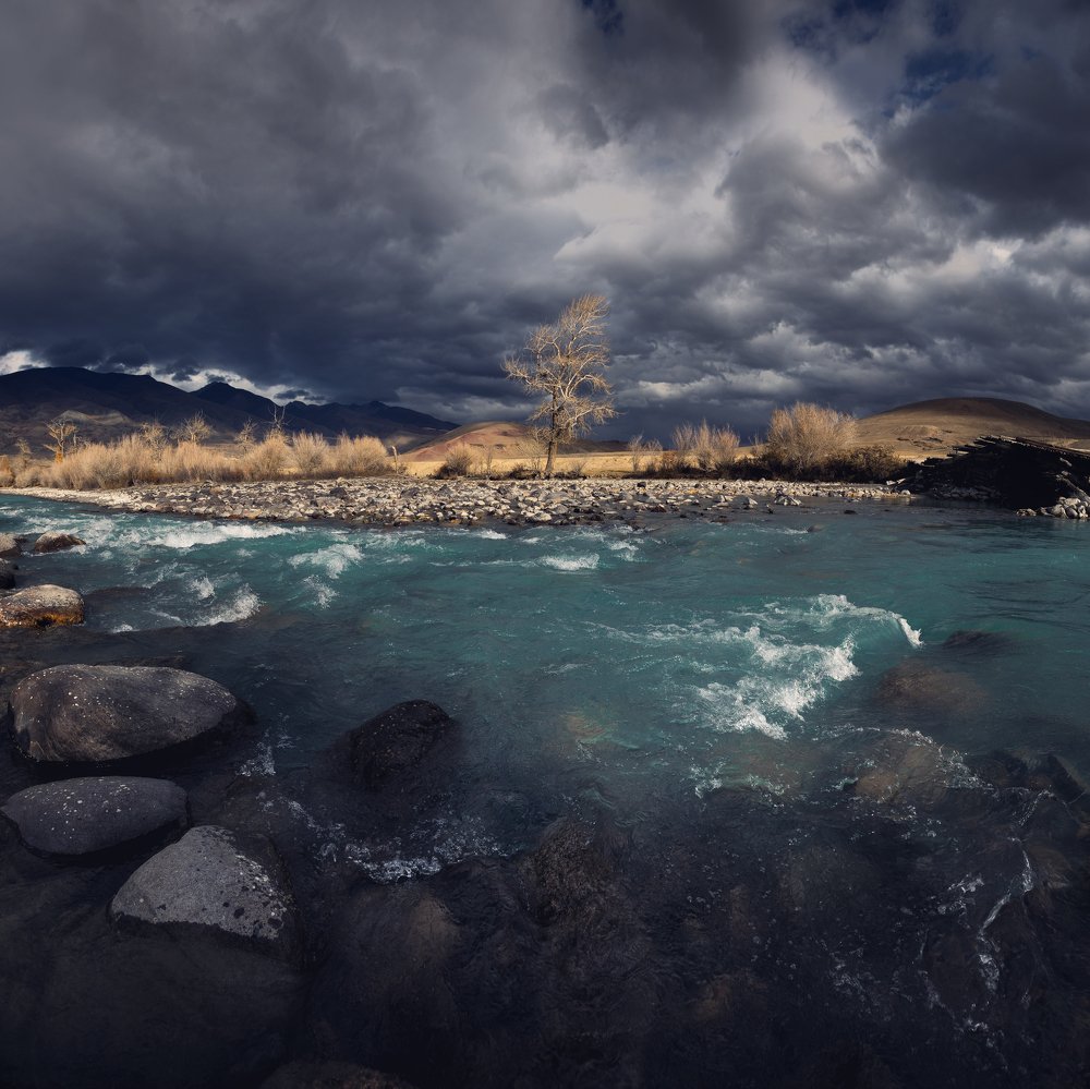 Photograph by Дмитрий Купрацевич