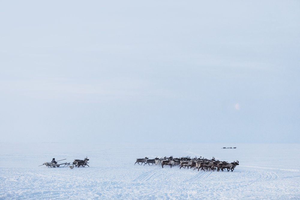 Photograph by Дмитрий Купрацевич