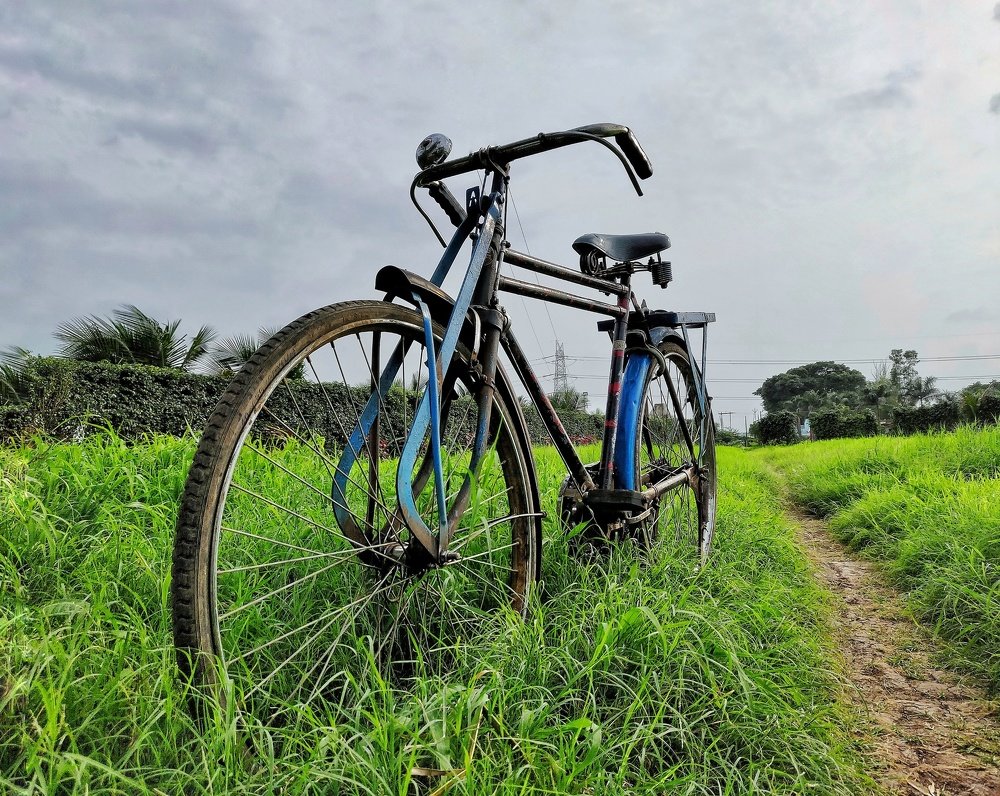 Photograph by Abhishek Amrit Mehra