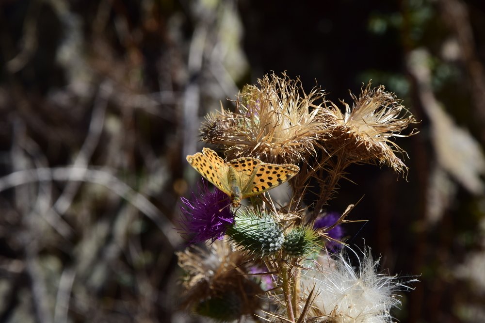 Photograph by Belkova Marina