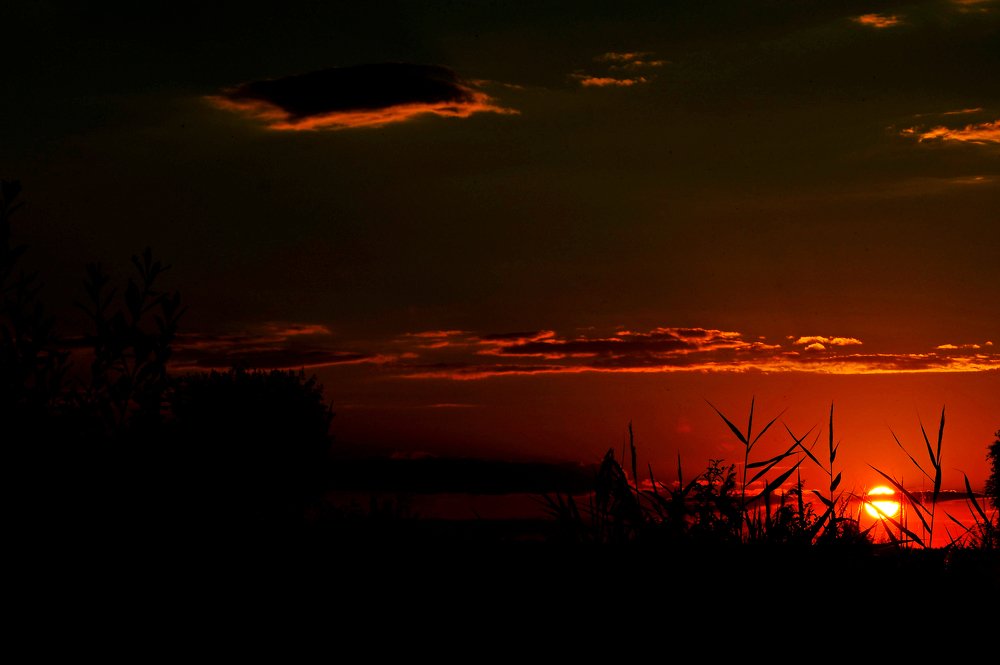 Photograph by Виталий Пилипенко