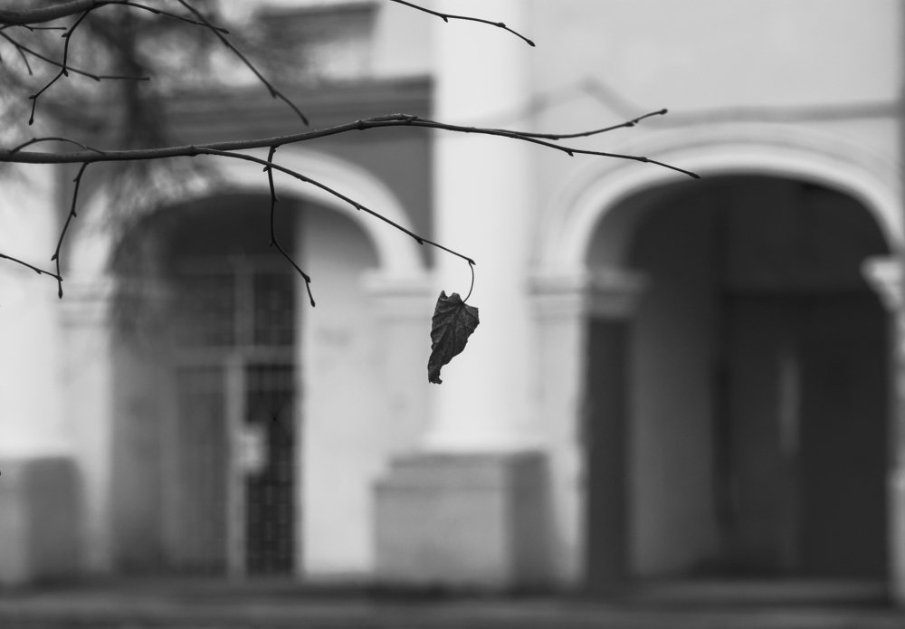 You must believe in Spring...