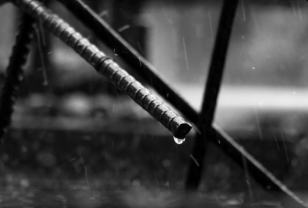 Photograph by FARDIN HOSSAIN FARDIN