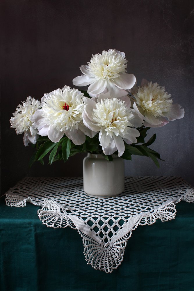 Photograph by Курочкина Диана