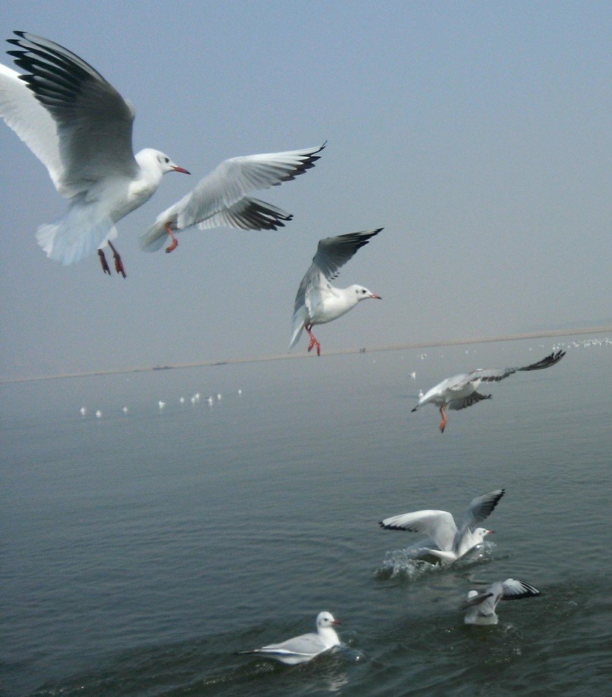 Photograph by Shantanu Bhatt