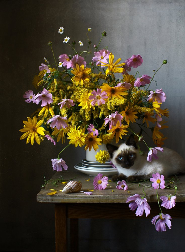 Летний букет и котенок