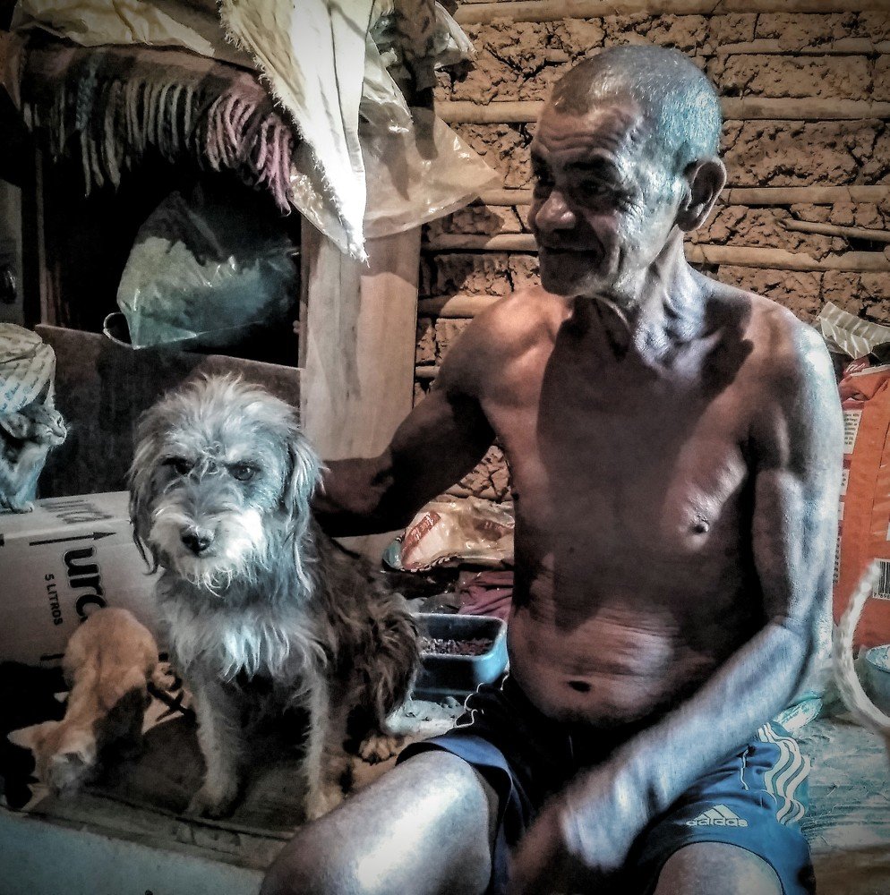 Photo #4346866