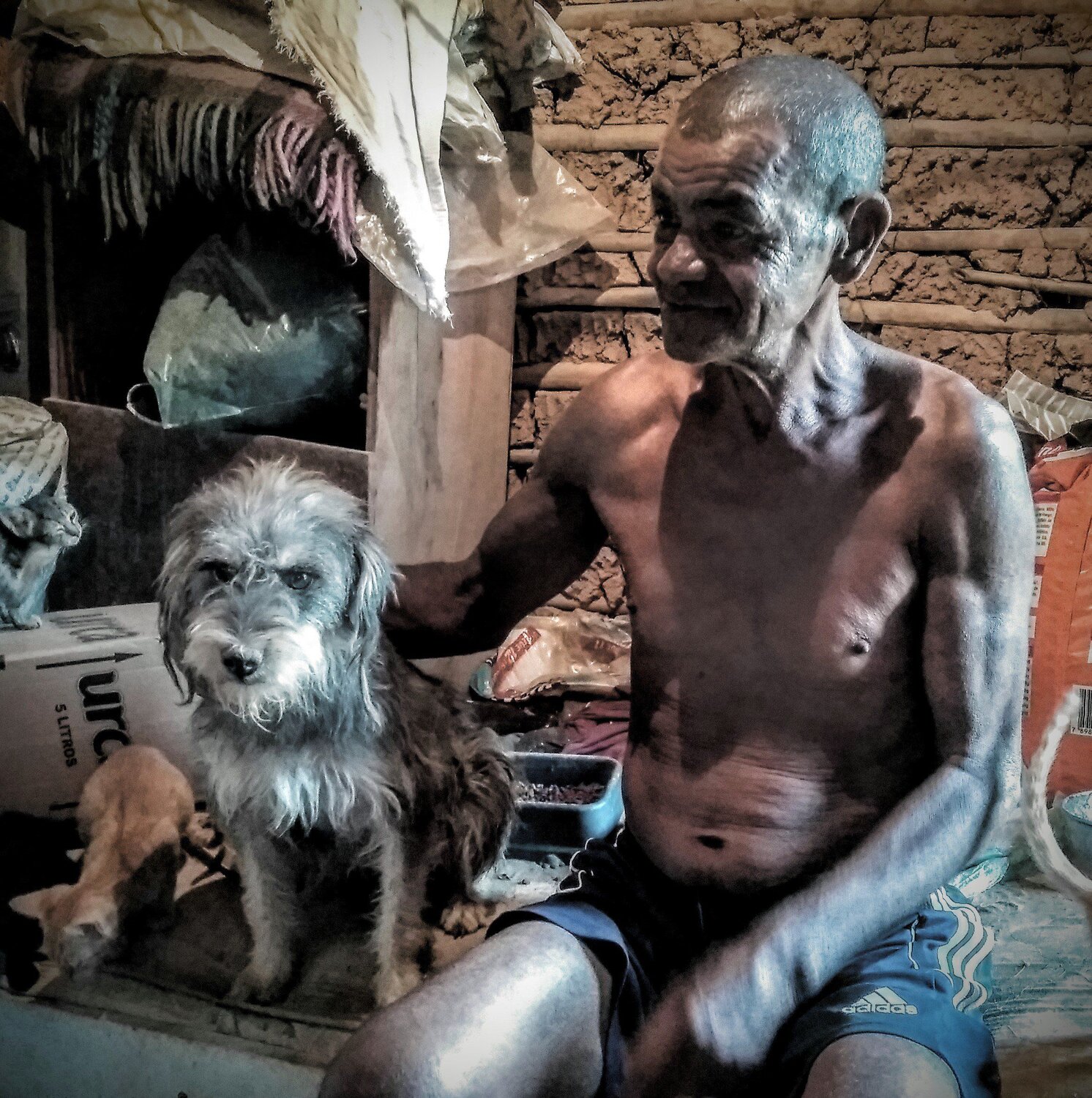 Photo #4346866