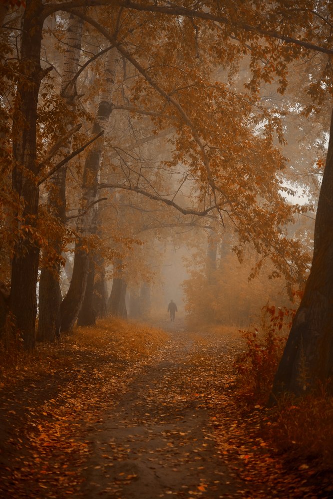 Фотография автора Георгий Муравьёв