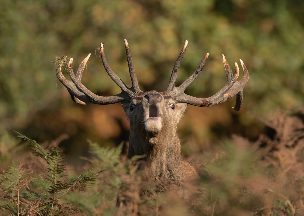 Фотография автора MARIA KULA