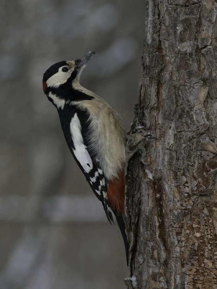 Photograph by Subway
