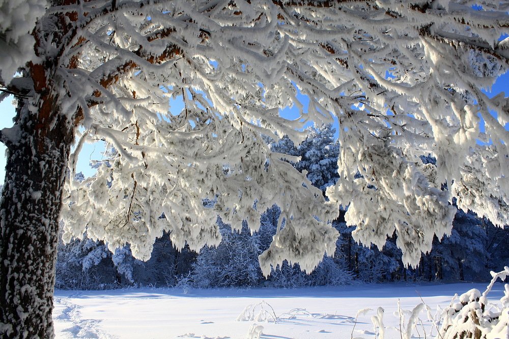 Photograph by Кузнечевская 