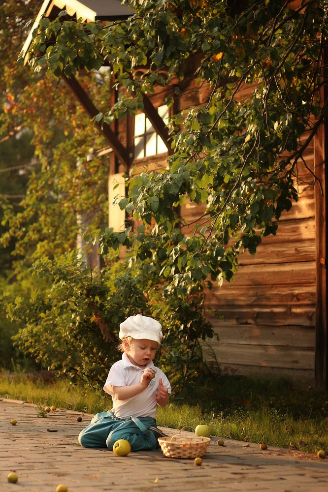 Сбор урожая