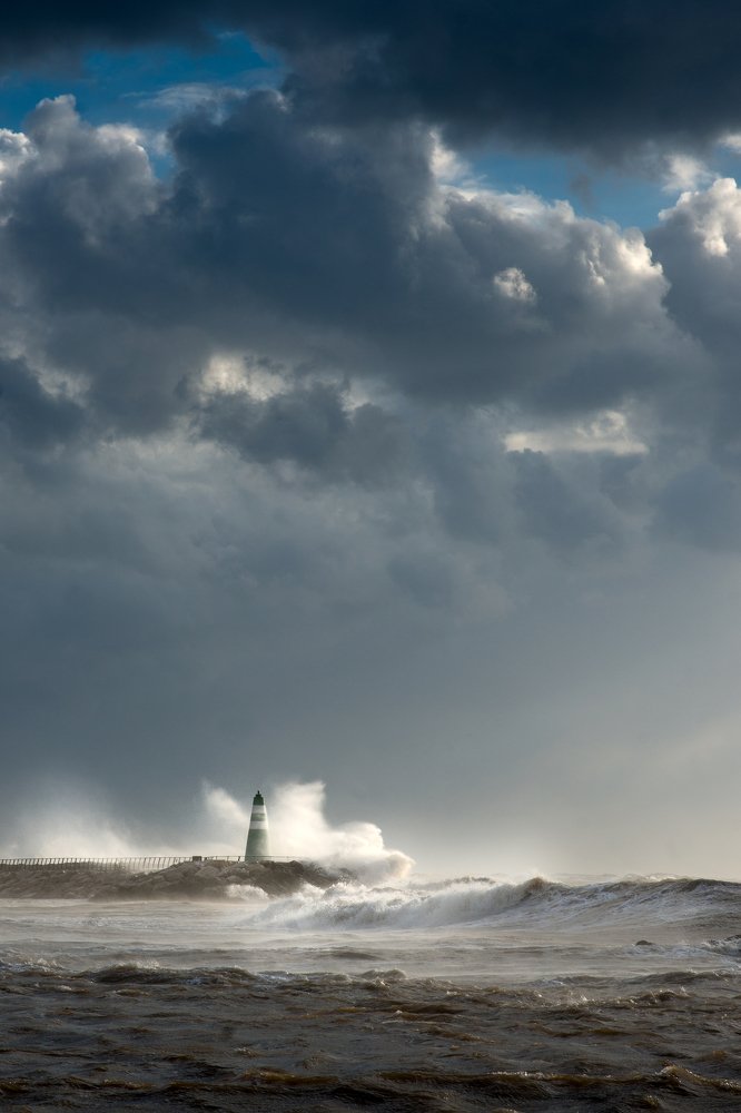 Photograph by Алина Чеснокова