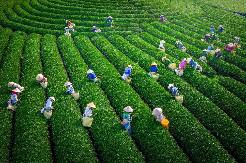 Photograph by Duc Pham