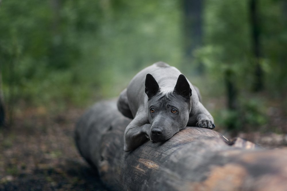 Photograph by Евгений Крутиков