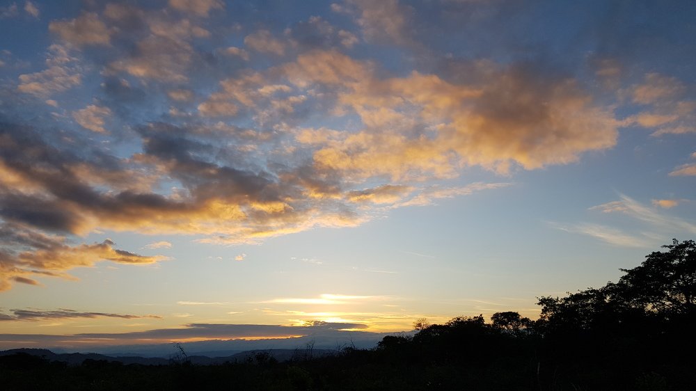 Paz