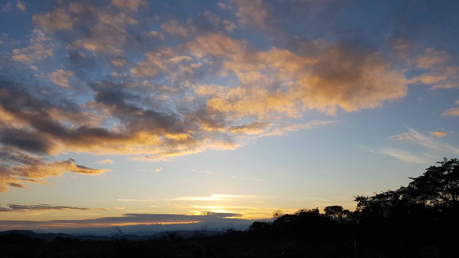 Paz