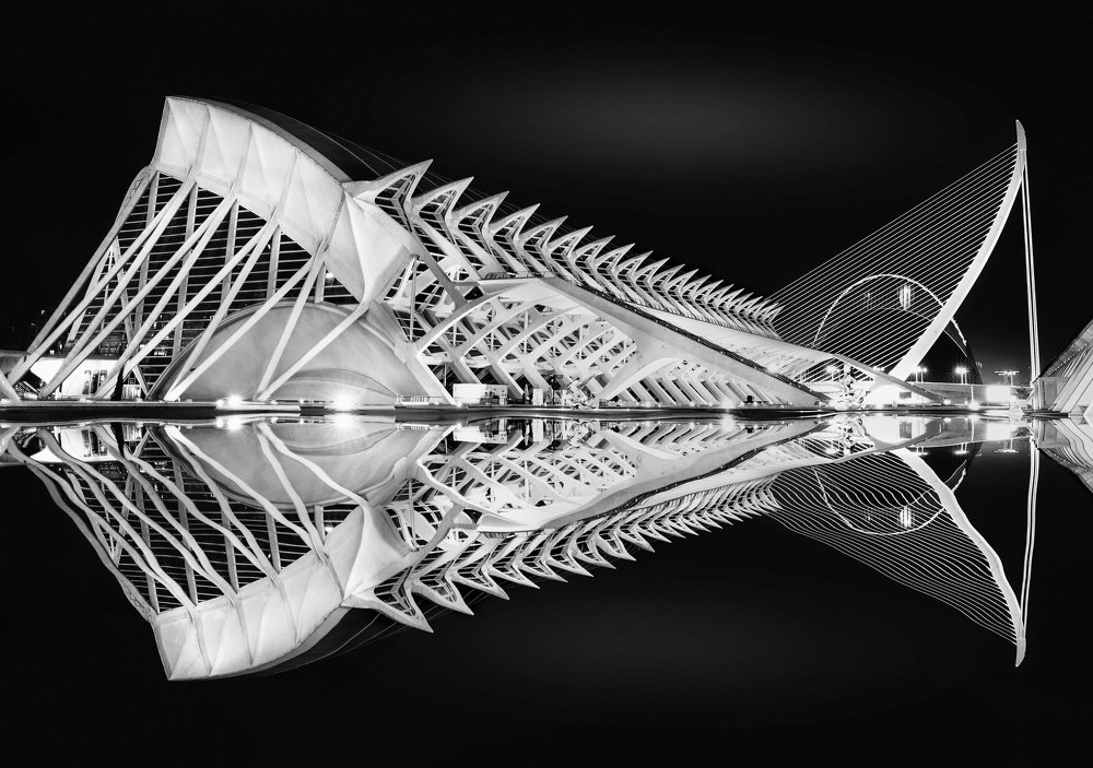 Photograph by Pedro Luis Ajuriaguerra Saiz