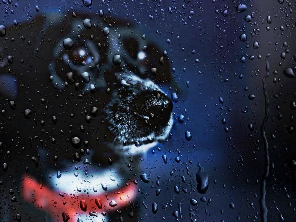 What does a person do?