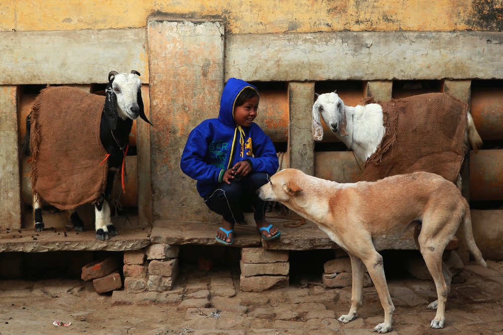 Photograph by Nguyen Viet Thanh
