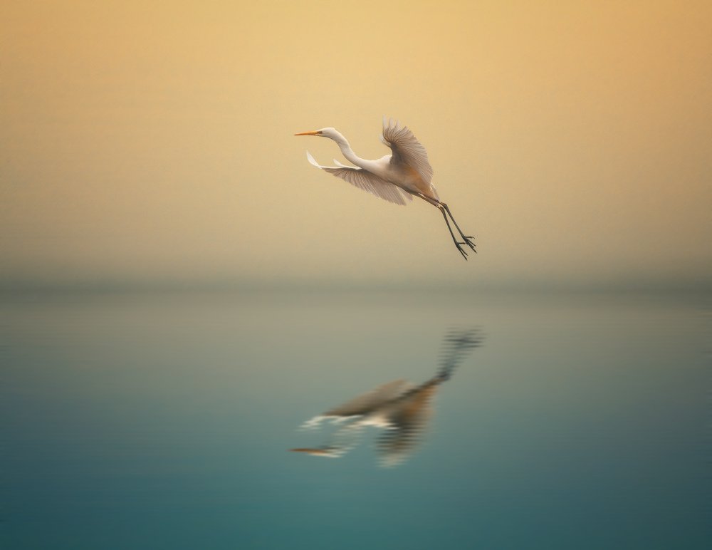 Photograph by Красимир Матаров