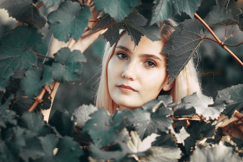 Фотография автора Сергей Василенко