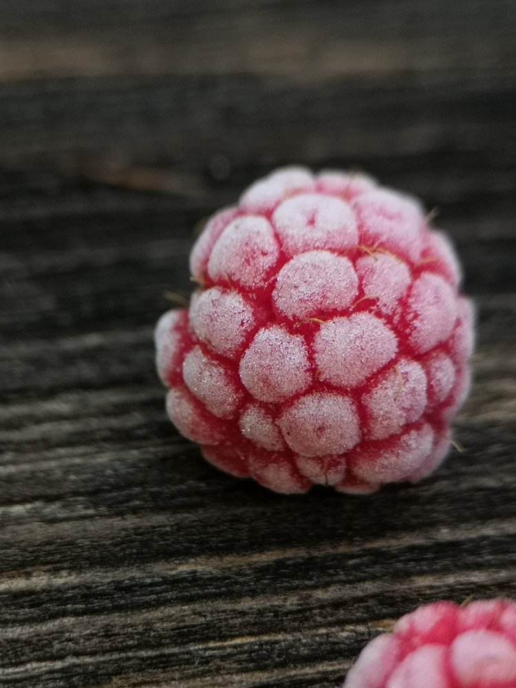 Photograph by Анна Голенева