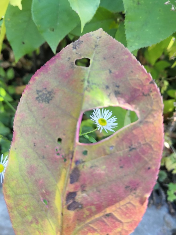 Photograph by Анна Голенева