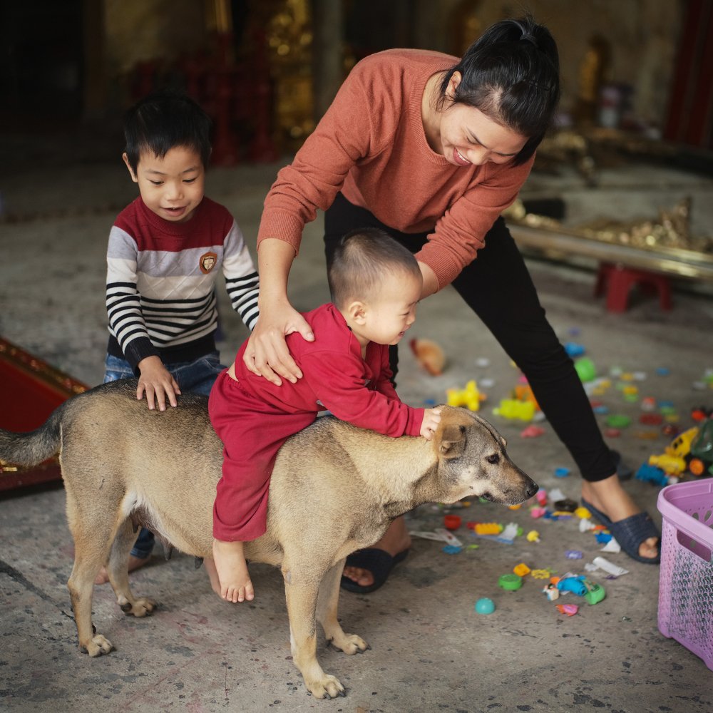 Photograph by Nguyen Viet Thanh