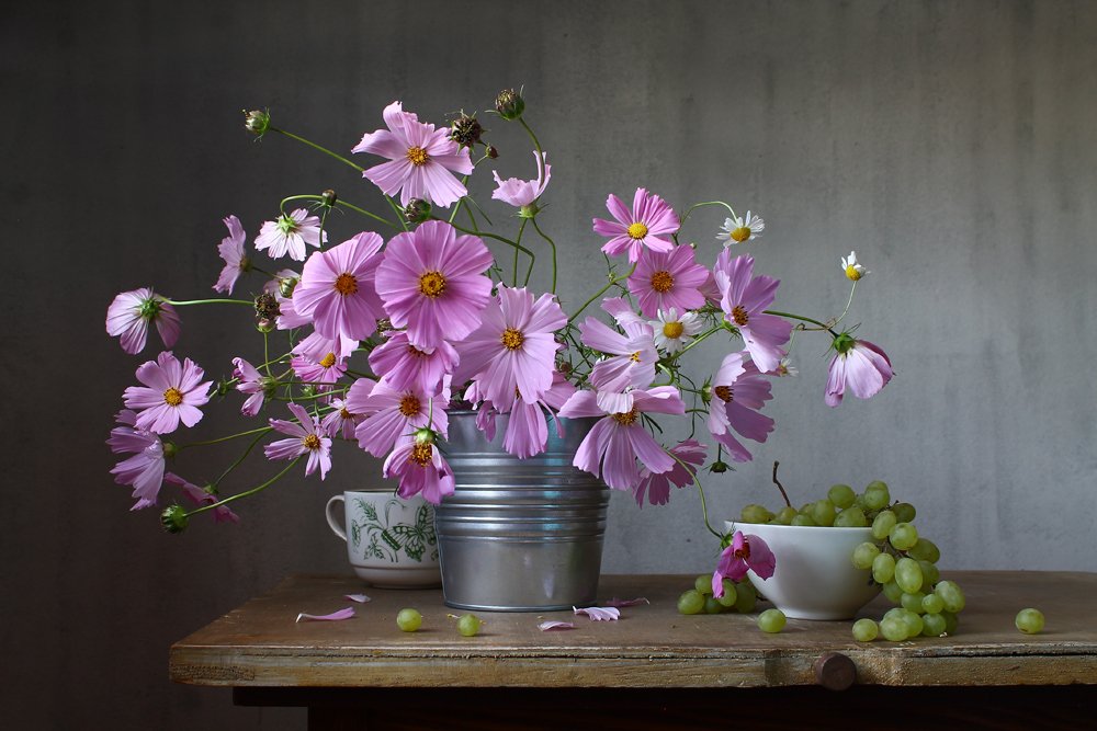 Лето с космеями