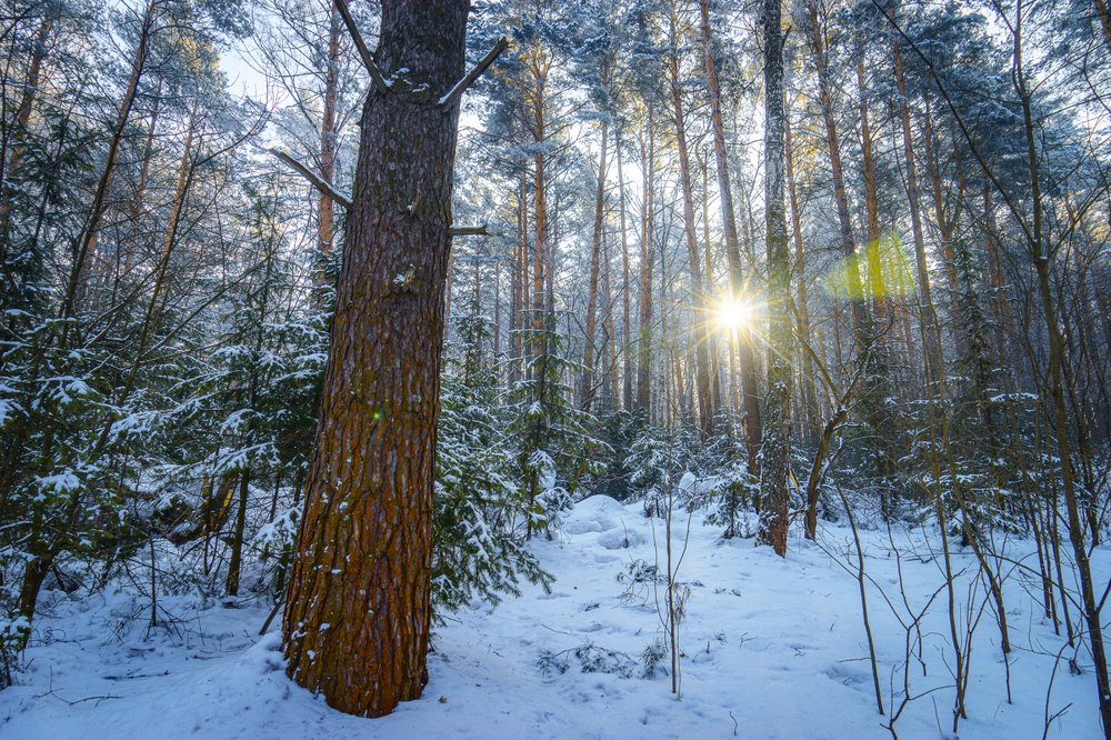 Photograph by Виталий Ррррр