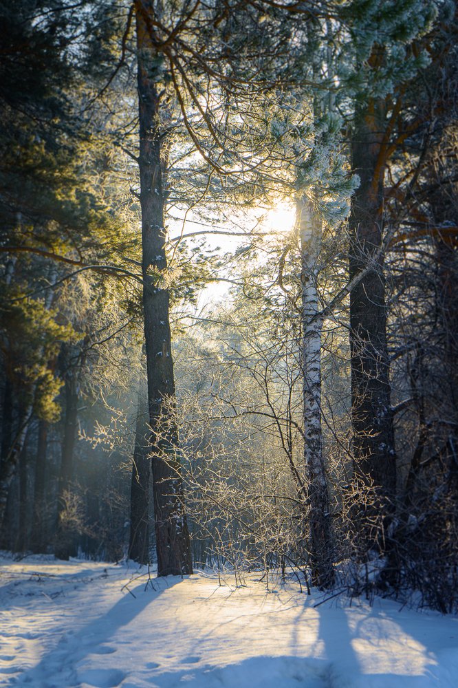 Photograph by Виталий Ррррр