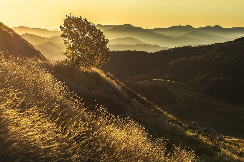 Photograph by Dóra Csörögi