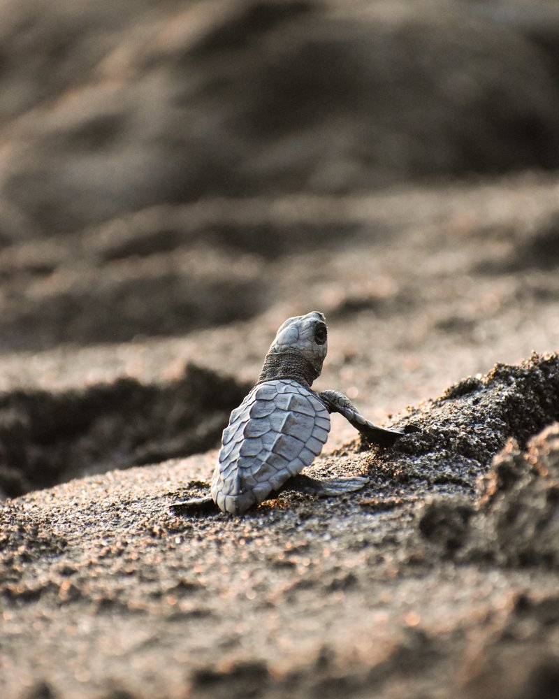 Photograph by Manuel Galindo