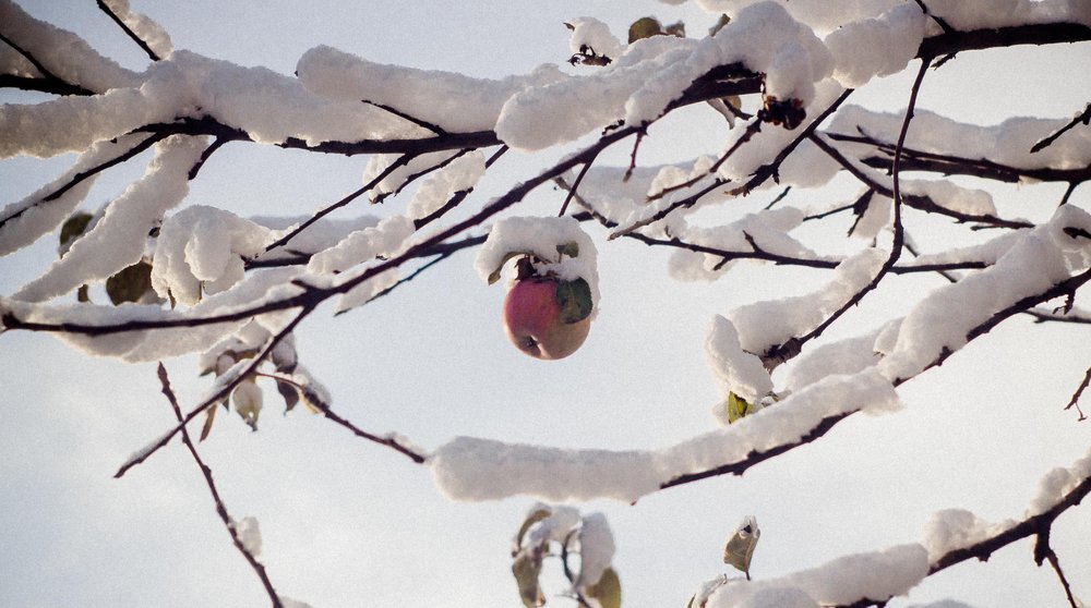 Photograph by Sergey Remizov