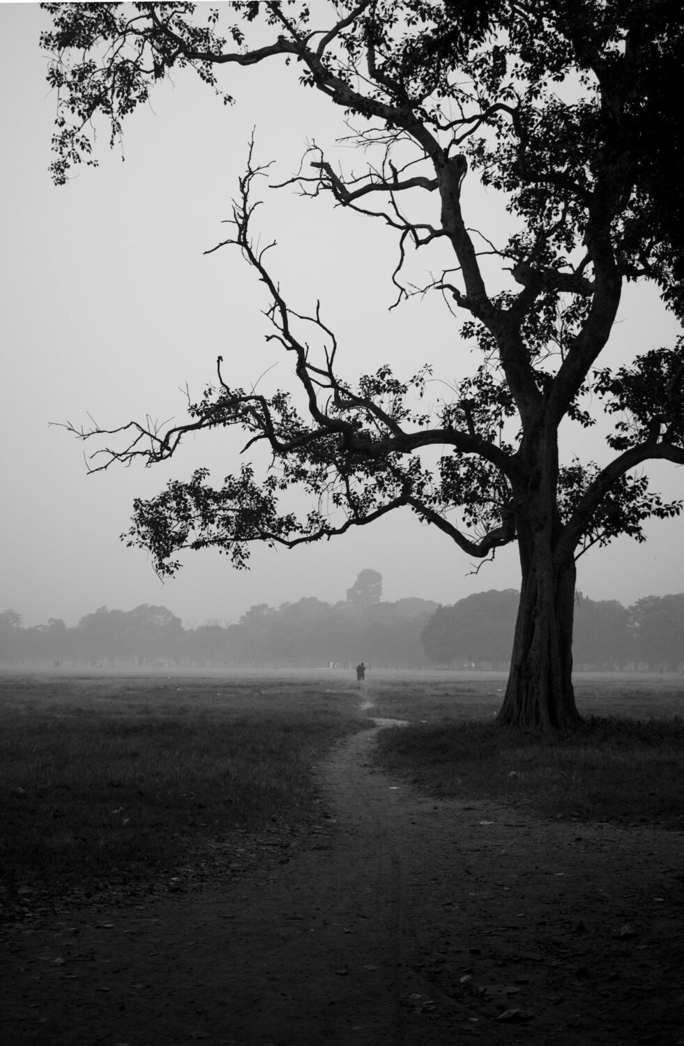 Photo #4347723