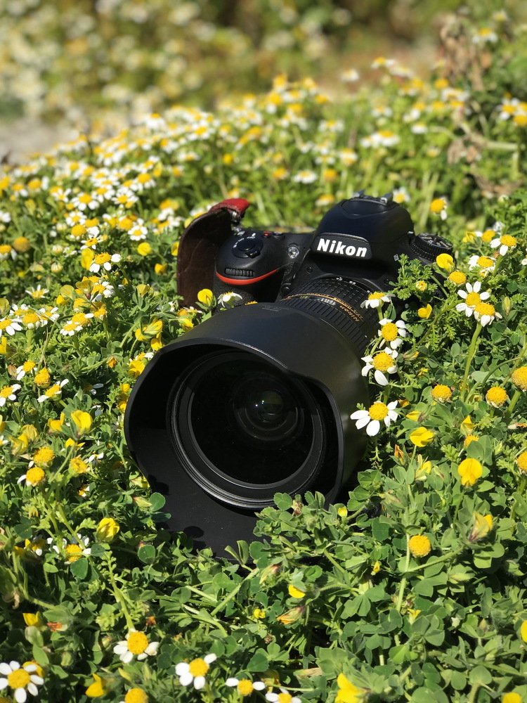 Photograph by Татьяна Волчанина