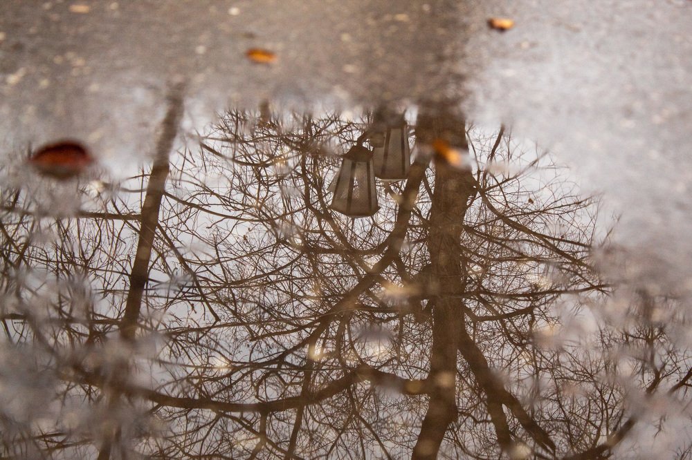 Photograph by Наталья Брунилина