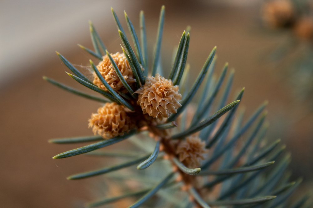 Photograph by Наталья Брунилина